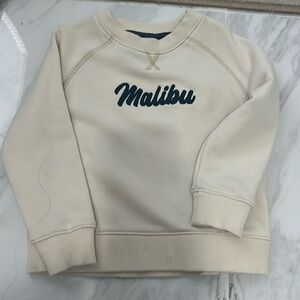 Toddler sweater 3T janie and jack